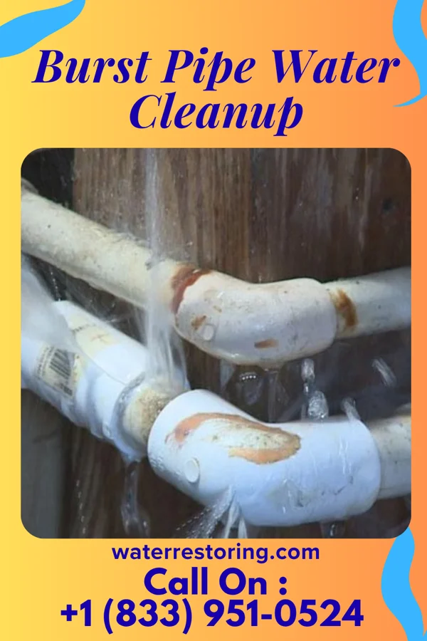 Burst Pipe Water Cleanup in East Bank, WV