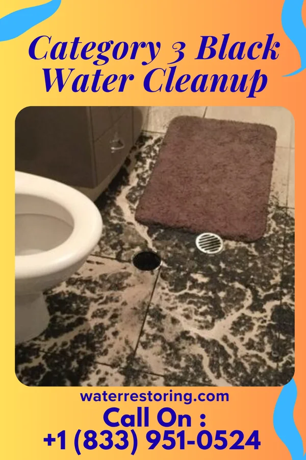 Category 3 Black Water Cleanup in East Bank, WV