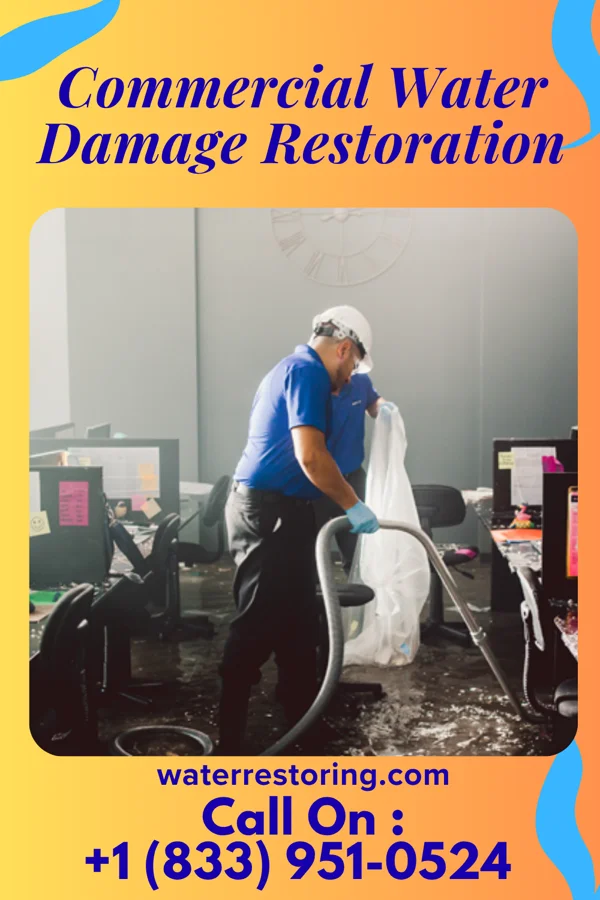 Commercial Water Damage Restoration in East Bank, WV