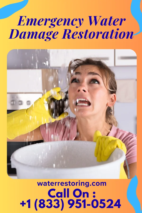 Emergency Water Damage Restoration in East Bank, WV