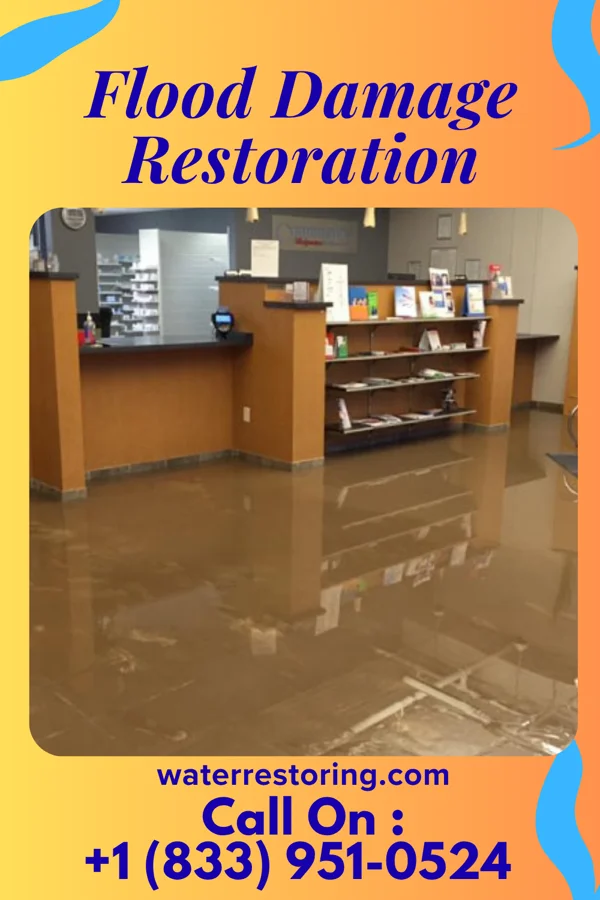 Flood Damage Restoration in East Bank, WV