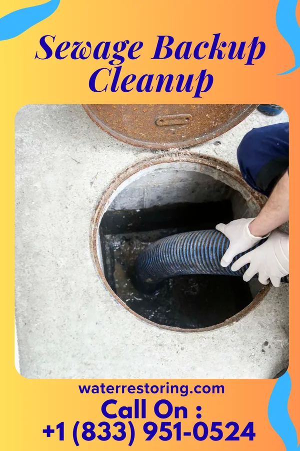 Sewage Backup Cleanup in East Bank, WV