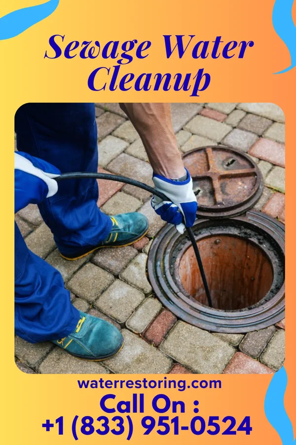 Sewage Water Cleanup in East Bank, WV