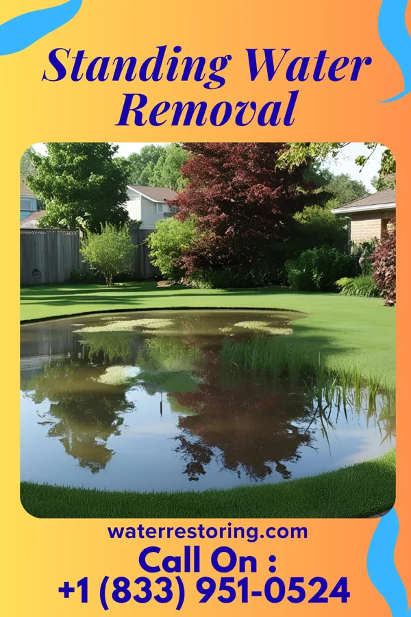 Standing Water Removal in East Bank, WV